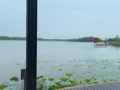 -东滩湿地公园观海楼餐厅