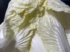 -南门四季铜锅涮肉(大屯·北苑店)