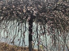 -白塘生态植物园