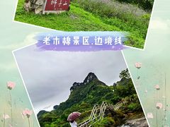 -明仕田园