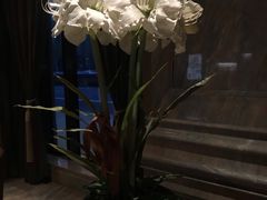 -上海外滩雅致酒店