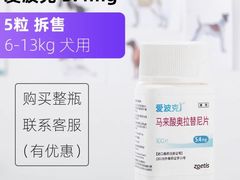 -美迦爱-牙专科·兔科·骨科诊疗中心(北苑店)