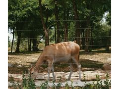 -济南野生动物世界
