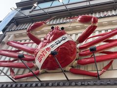 -蟹道乐(道顿堀本店)