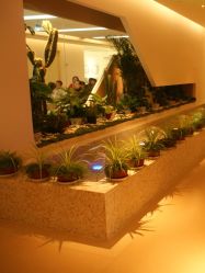 -北京和美妇儿医院