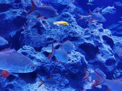 -成都浩海立方海洋公园