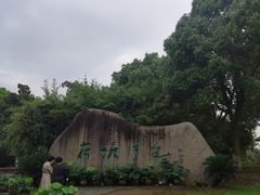 -荷塘月色湿地公园·向阳花洲