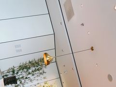 -羲和雅苑•北京烤鸭(乐园道万象城店)