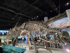 -国家自然博物馆