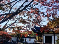 -常熟方塔园