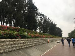 -宝安西湾红树林湿地公园