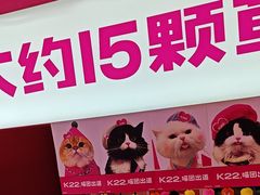 -K22.酸奶草莓(烟台芝罘店)