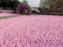 -上海杨姆庄园