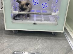 -爱洗澡的猫(天河路店)