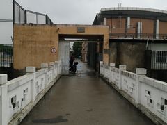 -七宝中学游泳馆