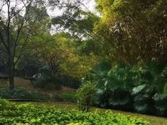 -晓港公园