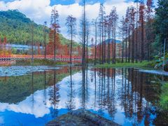 -广州市石门国家森林公园