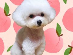 -汪小喵宠物·戴维斯乐芳希施宠馨宝皮毛调理洗护店