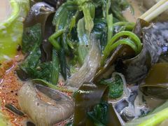 -杜老鲜麻辣烫(立信街店)