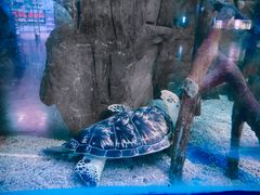 -欢乐海岸海洋奇梦馆