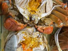 -蟹天蟹地农家菜·阳澄湖大闸蟹(浅水湾店)