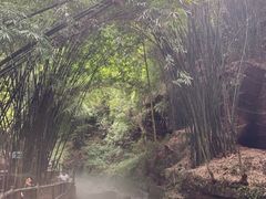 -川西竹海景区