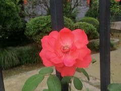 -南通博物苑-崇川人民公园