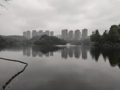 -重庆彩云湖湿地公园