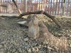 -国色天乡三期陆地乐园