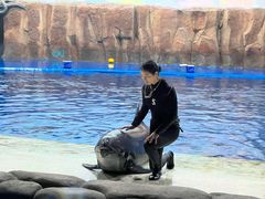 -华夏文旅海洋公园