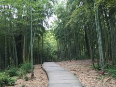 -藏龙百瀑风景区