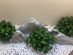 -八马茶业·茶馆茶室(罗湖万象城店)