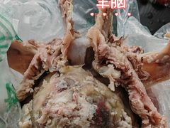 -洪记白水羊头(留学路店)