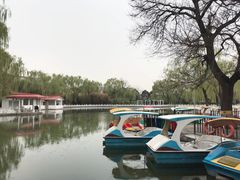 -丰台花园