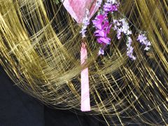 -杭州西子湖四季酒店·金沙厅