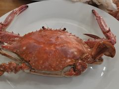 -小叶大馅饺子城