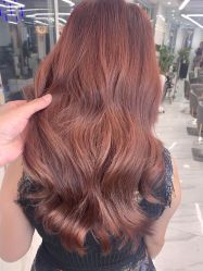 -潘多拉Hairsalon