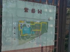 -嘉定紫藤园