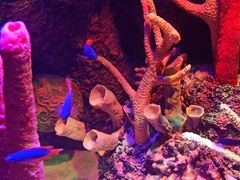 -沈阳海洋探索中心