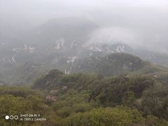 -内乡宝天曼生态旅游区