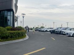 -春花秋色城市公园