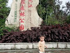 -九龙江国家森林公园