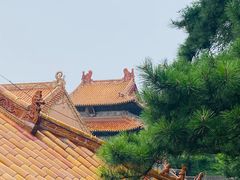 -沈阳市东陵公园