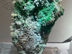 -湖南省地质博物馆