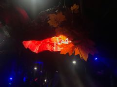 -醉小酒馆·川菜·江湖菜·重庆菜(观音桥旗舰店)