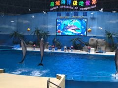 -泉城欧乐堡海洋极地世界
