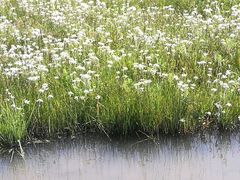 -青海湖仙女湾景区