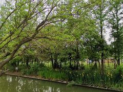 -上海长兴岛郊野公园