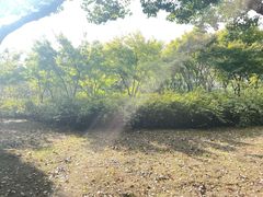-贡湖湾湿地公园