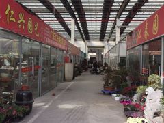 -龙大花卉苗木市场